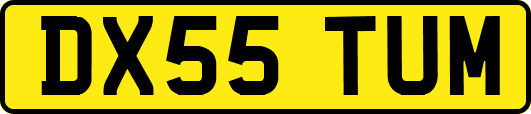 DX55TUM