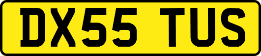 DX55TUS