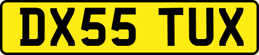 DX55TUX