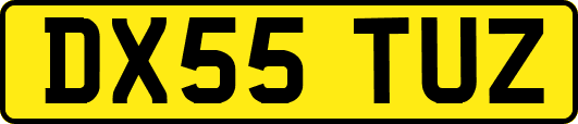 DX55TUZ