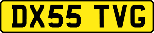 DX55TVG