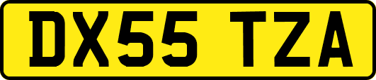 DX55TZA
