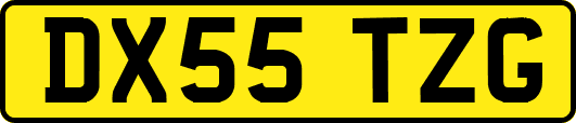 DX55TZG