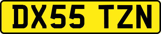 DX55TZN