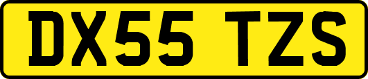 DX55TZS
