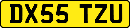 DX55TZU