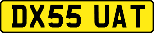 DX55UAT