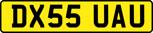 DX55UAU