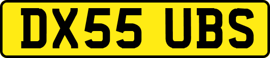 DX55UBS