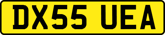 DX55UEA