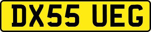 DX55UEG