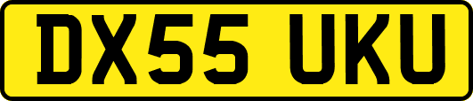 DX55UKU