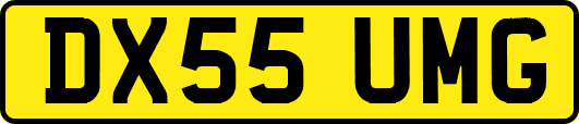 DX55UMG