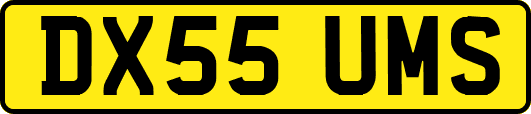 DX55UMS