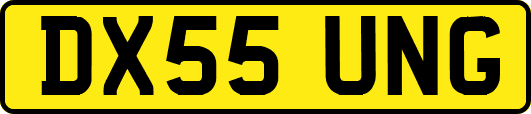 DX55UNG