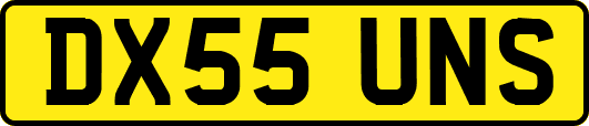DX55UNS