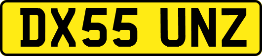 DX55UNZ