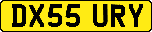 DX55URY