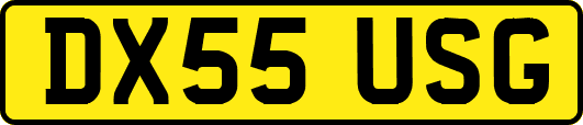 DX55USG
