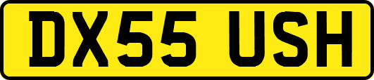 DX55USH
