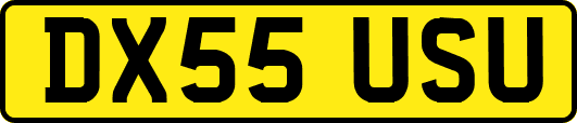 DX55USU