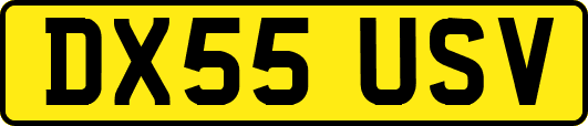 DX55USV