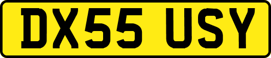 DX55USY