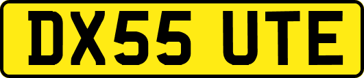 DX55UTE