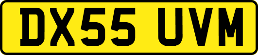 DX55UVM