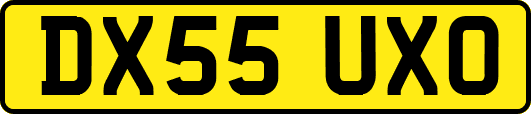 DX55UXO