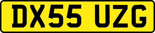 DX55UZG