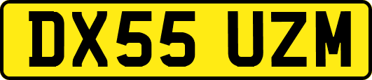 DX55UZM