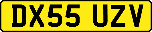 DX55UZV