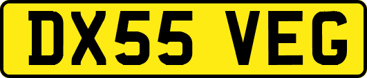DX55VEG