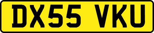 DX55VKU