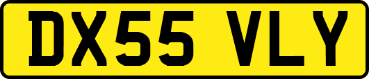 DX55VLY