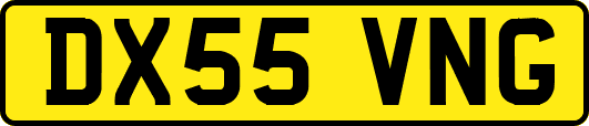 DX55VNG