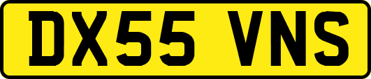 DX55VNS