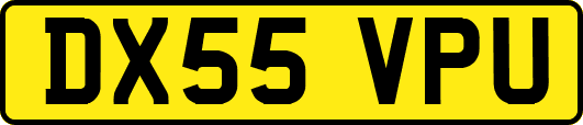DX55VPU