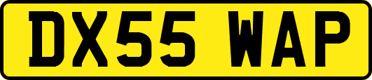 DX55WAP