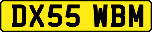 DX55WBM