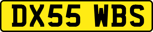 DX55WBS