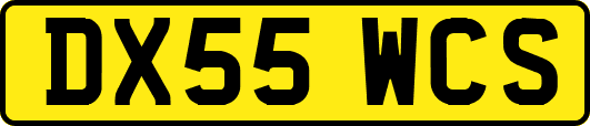 DX55WCS