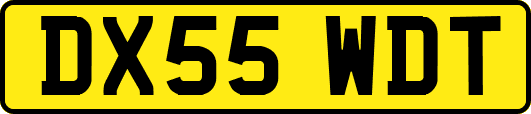 DX55WDT