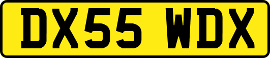 DX55WDX