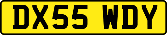 DX55WDY