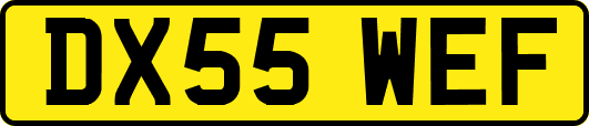 DX55WEF