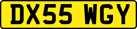 DX55WGY