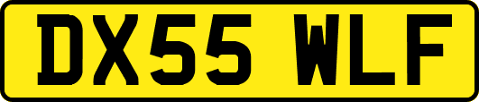 DX55WLF