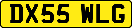 DX55WLG